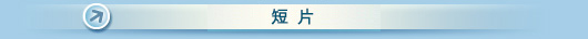 新聞公報