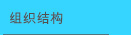 组织结构