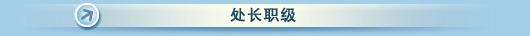 处长职级