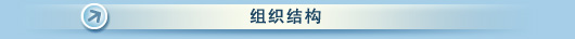 组织结构