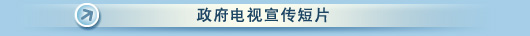 政府电视宣传短片